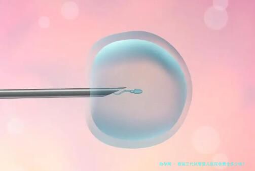 泰国三代试管婴儿医院收费全多少钱？