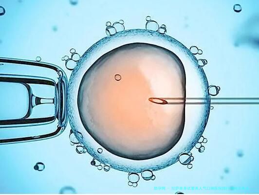 拉萨单身试管高人气口碑医院排行榜前五名公开单身女性如何科学选择医院2025年拉萨五大医院技术对比、分析与个性化生育方案全指南