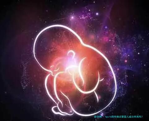 hpv16阳性做试管婴儿成功率高吗？