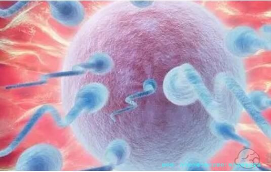 齐齐哈尔哪个医院试管好？附齐齐哈尔试管婴儿医院推荐