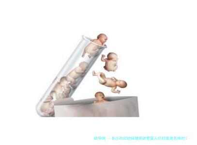 长沙市妇幼保健院试管婴儿价目表是怎样的？国内试管婴儿收费价 目表！