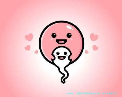 试管婴儿哪家医院做的较好？国内试管前三试管助孕成功率一览