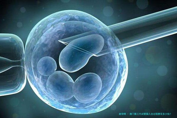 澳门第三代试管婴儿全过程要花多少钱？