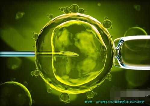 大约花费多少钱才能选到国内好的三代试管婴儿医院？
