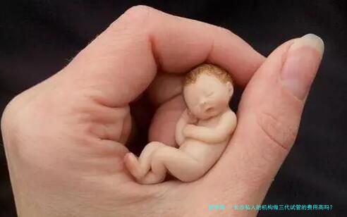 长沙私人的机构做三代试管的费用高吗？