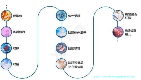 2026广州供卵试管避坑指南！如何锁定一家靠谱又安全的机构