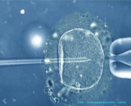 沈阳菁华医院做试管成功率高吗？ 内附试管婴儿明细参考
