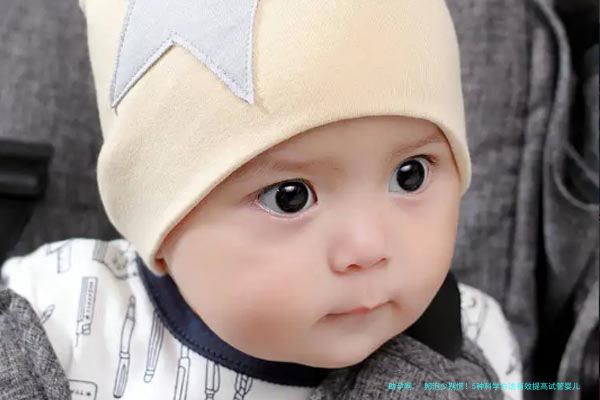 卵泡少别慌！5种科学方法有效提高试管婴儿成功率