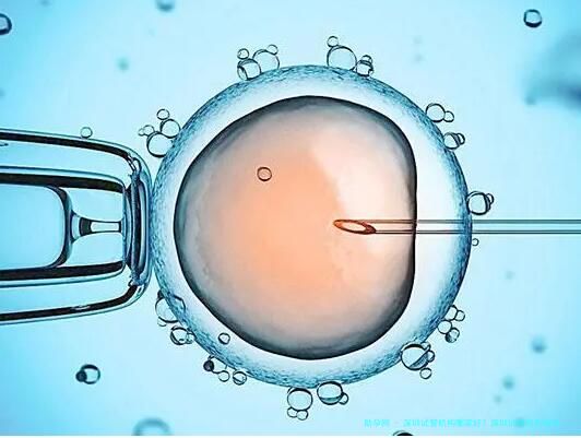 深圳试管机构哪家好？深圳试管机构排名