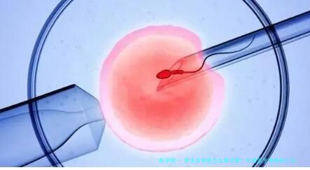 卵泡发育差怎么做试管？生殖医生推荐的三大促排新策略