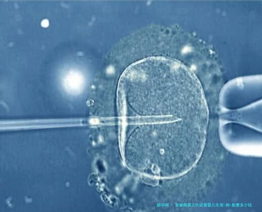 安徽做第三代试管婴儿生双-胞-胎要多少钱？10万够不够？