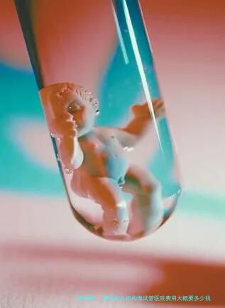 惠州私人机构做试管医院费用大概要多少钱