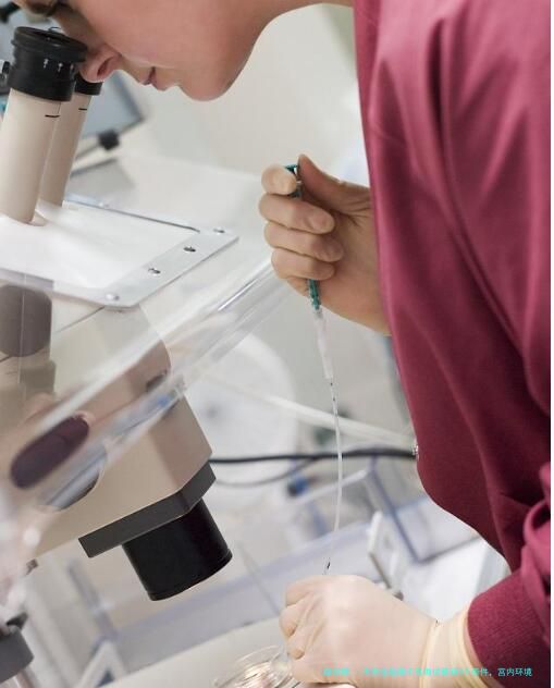 不完全纵隔子宫做试管有3个条件，宫内环境好可助孕