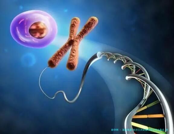 深度报道-长沙三大试管助孕公司大盘点,助孕成功率深度解读