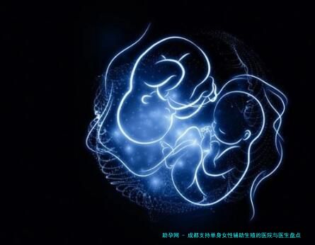 成都支持单身女性辅助生殖的医院与医生盘点：政策解读、流程费用及华西二院等机构实力解析