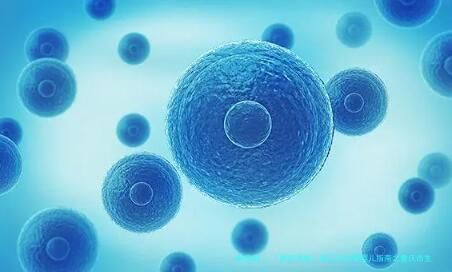 「医院导航」第三代试管婴儿指南之重庆市生育保健院