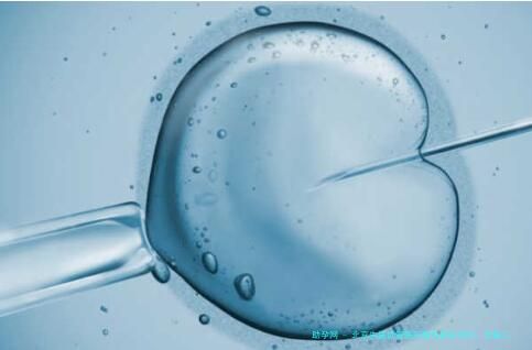 北京失庭试管医院精选排名TOP5：北医三院、协和医院等公立三甲领衔，附试管婴儿费用与详解