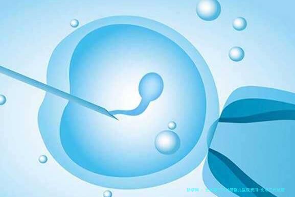北京第三代试管婴儿医院费用-北京三代试管婴儿医院排名比较好！