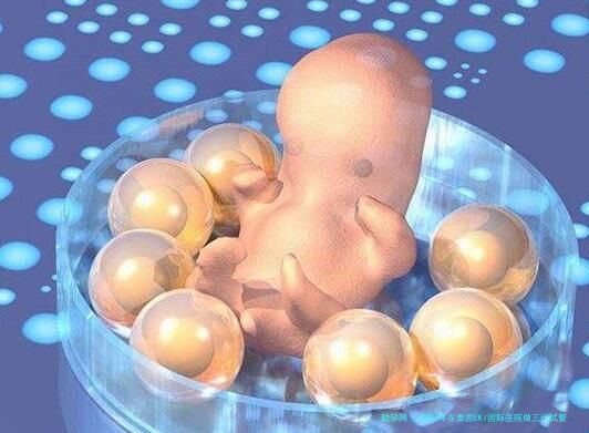 2026年在泰国EKI国际医院做三代试管婴儿的费用大概需要多少？