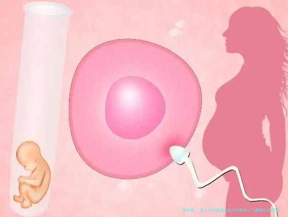 第三代试管婴儿孩子价格多少？揭晓三代试管费用明细