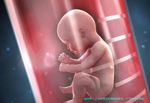 广州试管宫腔镜检查疼吗？(广州做宫腔镜检查多少钱)