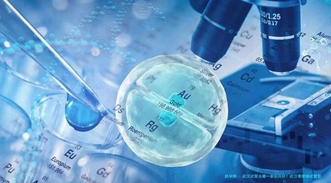 武汉试管去哪一家医院好？武汉哪里做试管婴儿比较好？