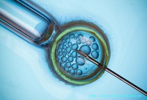 2026年哈尔滨二代试管医院前三强实力解析与选择指南：附本地医生推荐与费用明细