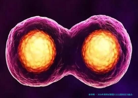 2026年贵阳试管婴儿公立医院实力盘点：贵州省妇幼保健院、贵医附院等机构解析，附三代试管与费用指南