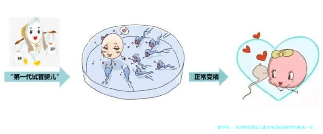 贵州做试管婴儿成功率比较高的医院排名一览(贵州试管婴儿哪家医院成功率高)