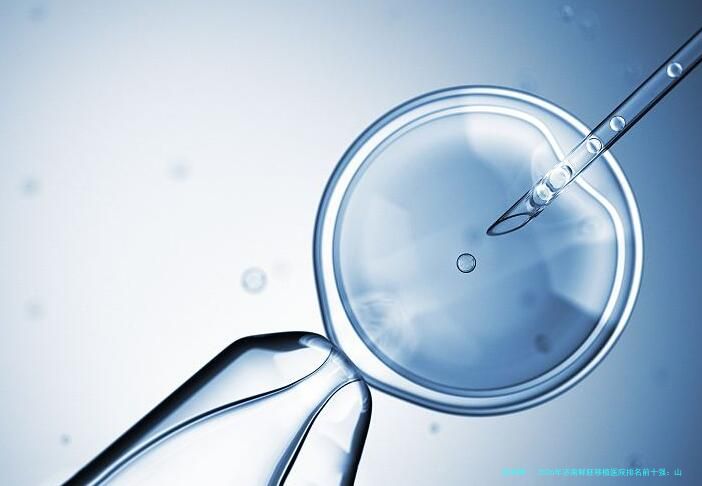 2026年济南鲜胚移植医院排名前十强：山东大学附属生殖医院、山东省立医院等领衔，附费用与医生指南