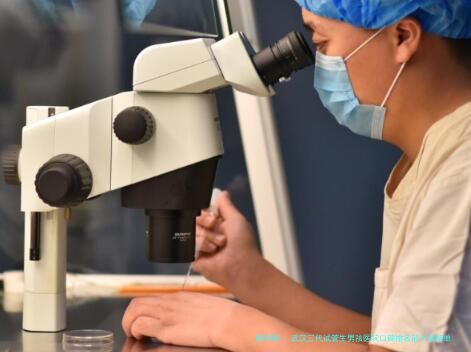 武汉三代试管生男孩医院口碑排名前十强榜单：同济、协和等知名医院领衔附费用与流程全解析