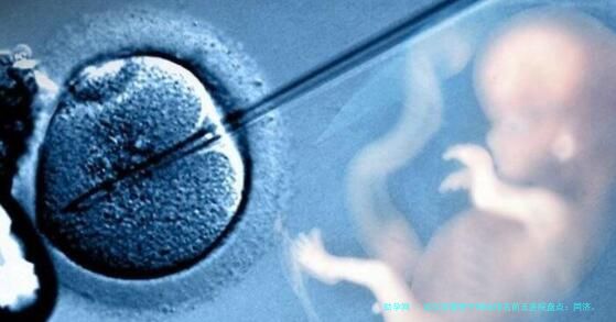 武汉试管卵子精选排名前五医院盘点：同济、协和等知名生殖中心技术对比与就医指南