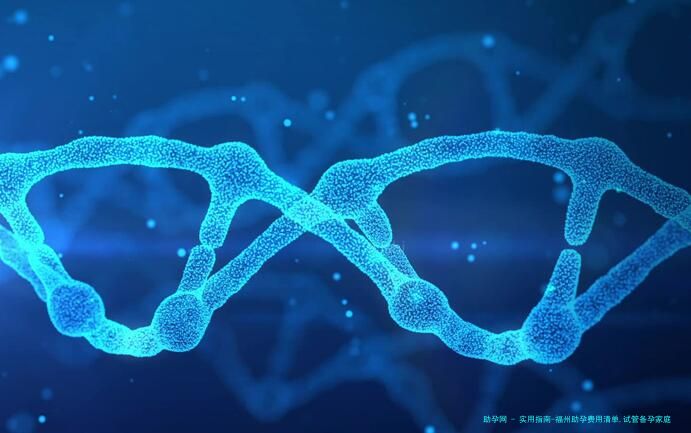 实用指南-福州助孕费用清单,试管备孕家庭必备参考