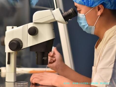 柬埔寨三代试管婴儿流程详解，费用是多少？成功率与风险同步了解