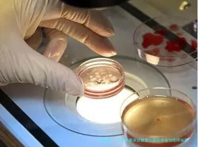 2026年南京试管婴儿医院排名与选择指南：江苏省人民医院、鼓楼医院等知名机构实力解析及助孕技术、专家团队、费用明细全览