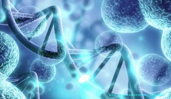 金华试管婴儿医院选择指南：附本地正规生殖中心与医生推荐及费用明细