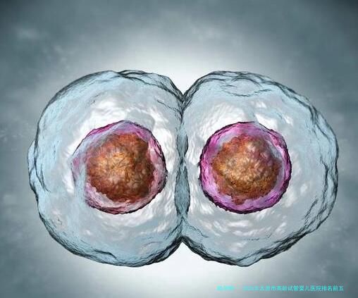 2026年太原市高龄试管婴儿医院排名前五解析：助力49岁家庭圆梦