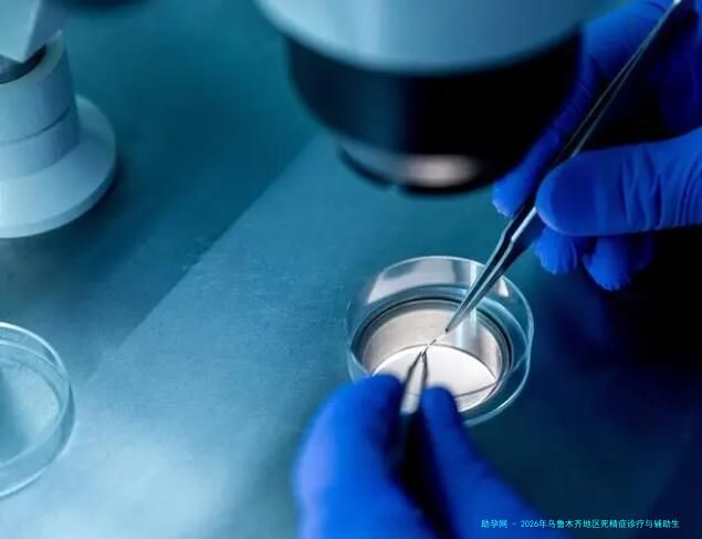 2026年乌鲁木齐地区死精症诊疗与辅助生殖技术实力排名前三医院深度解析