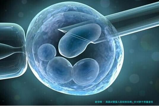 南昌试管婴儿医院排名榜：针对卵子质量差优选这几家，附本地生殖医生与费用解析