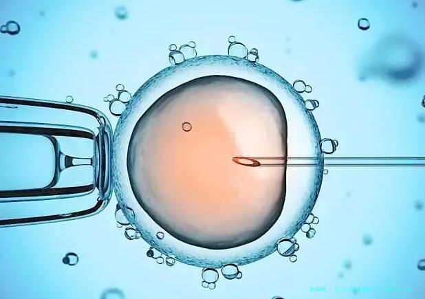 江门三代试管PGT-A、PGT-M、PGT-SR到底有什么区别？