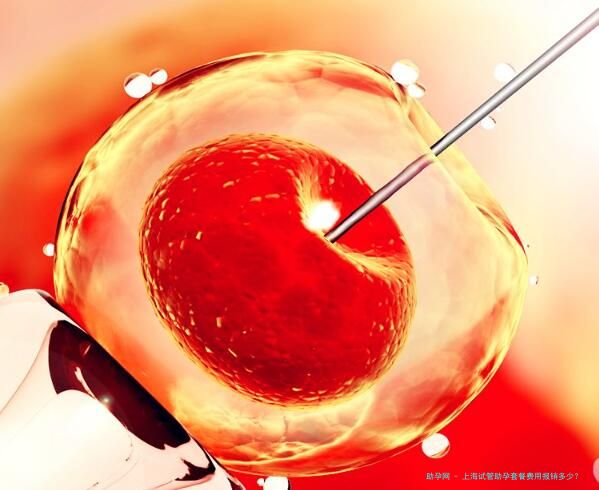 上海试管助孕套餐费用报销多少？