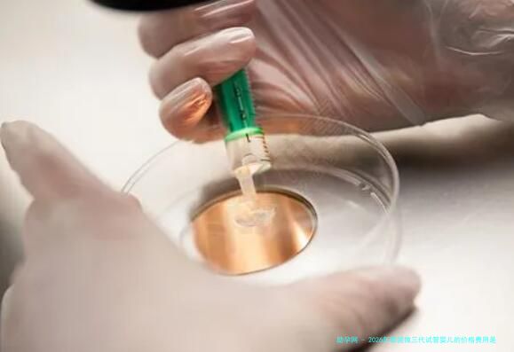 2026年泰国做三代试管婴儿的价格费用是多少啊？