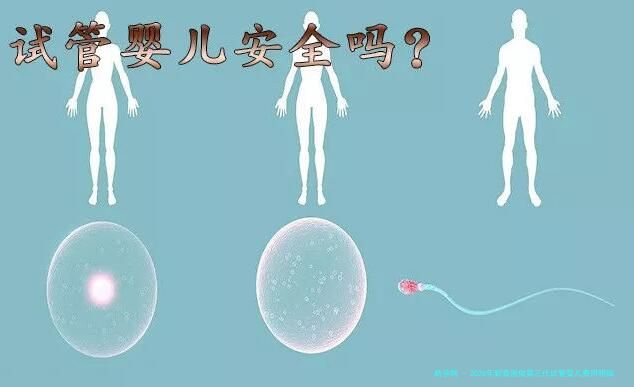 2026年到泰国做第三代试管婴儿费用明细总共多少