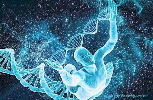 2026年单身女性新加坡试管婴儿全程费用大概多少？