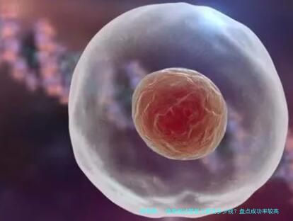 做泰国试管婴儿要花多少钱？盘点成功率较高的试管医院！