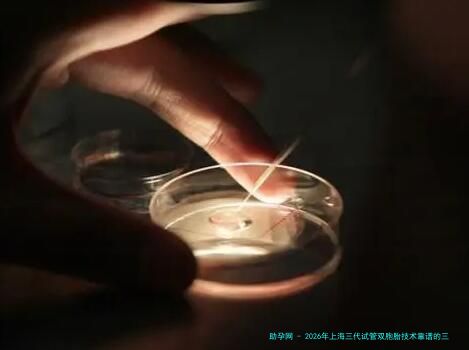 2026年上海三代试管双胞胎技术靠谱的三甲医院五强榜单：瑞金医院、仁济医院等知名机构领衔附试管婴儿费用参考