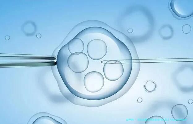 西安试管生男孩医院排名前三与私立机构技术解析：附本地生男孩试管费用详情