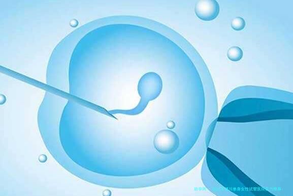 2026年银川单身女性试管医院实力推荐：宁夏人民医院生殖中心、银川市妇幼保健院生殖医学中心等专业机构详析附高医生指南