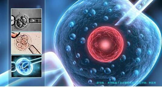 贵阳始基子宫试管医院前三公立评测：贵医附院领衔，内附详细费用价格解析