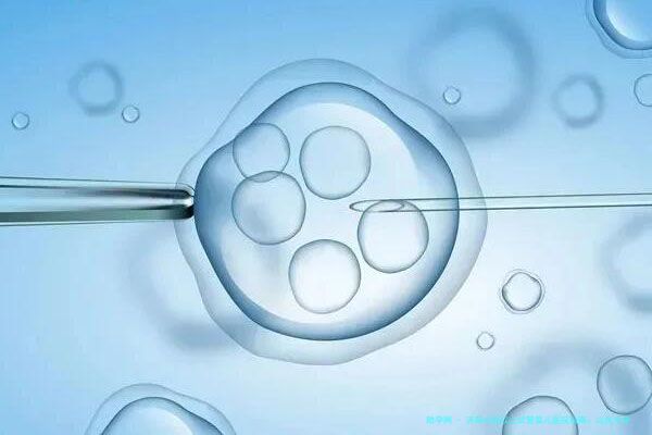 济南45岁以上试管婴儿医院指南：山东大学附属生殖医院领衔，解读与个性化诊疗方案